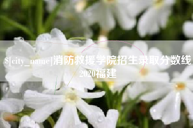 绵阳消防救援学院招生录取分数线2020福建