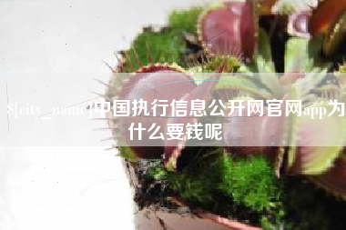 绵阳中国执行信息公开网官网app为什么要钱呢