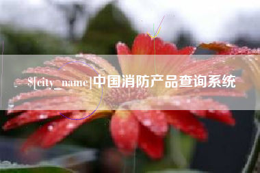绵阳中国消防产品查询系统