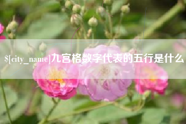 绵阳九宫格数字代表的五行是什么