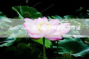 绵阳消防证国网查询操作证
