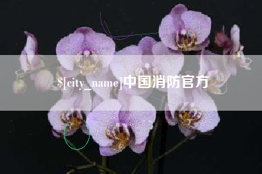 绵阳中国消防官方