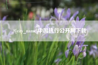 绵阳中国执行公开网下载
