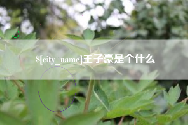 绵阳王子豪是个什么