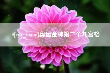 绵阳奥运金牌第二个九宫格