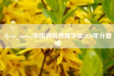 绵阳中国消防救援学院2020年分数线