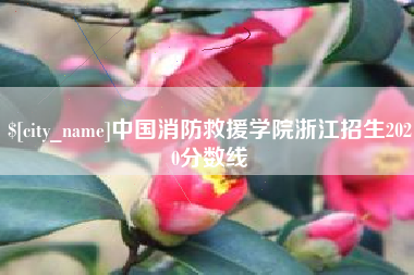 绵阳中国消防救援学院浙江招生2020分数线