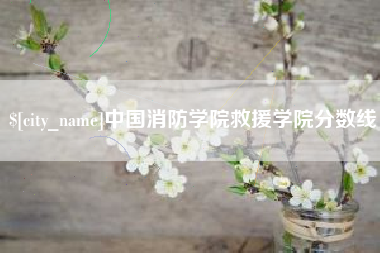 绵阳中国消防学院救援学院分数线