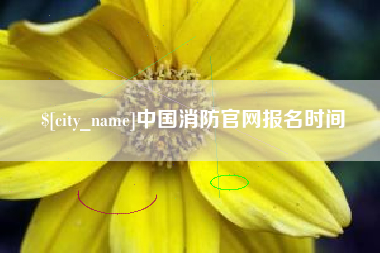 绵阳中国消防官网报名时间