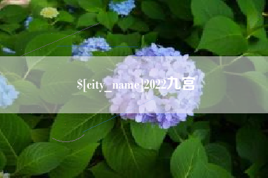 绵阳2022九宫