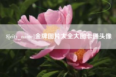 绵阳金牌图片大全大图卡通头像